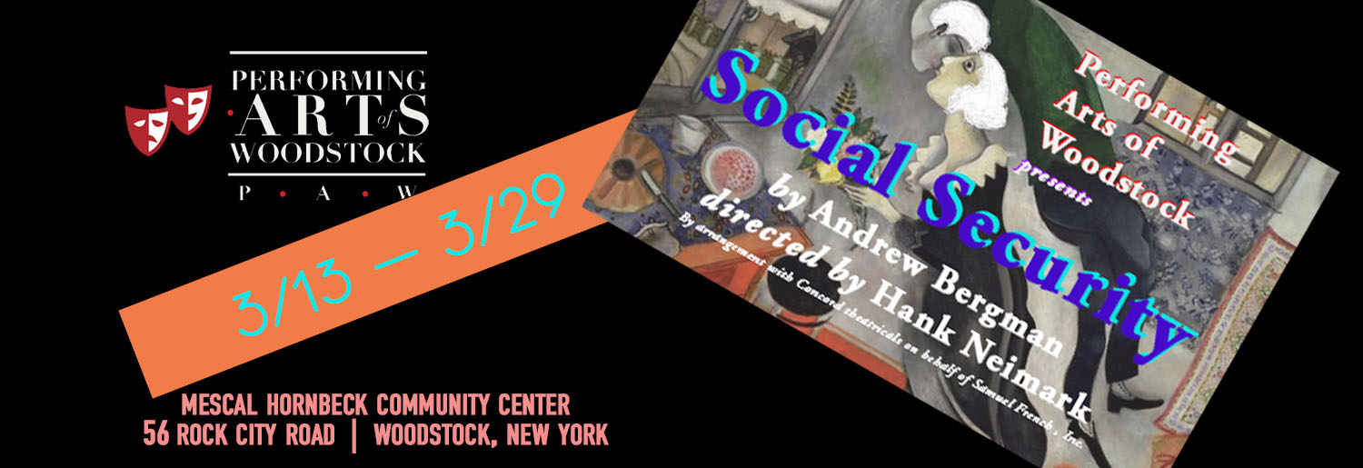 Social Security by Andrew Bergman